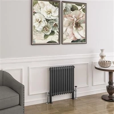 Eastbrook Imperia 2 Koloms Radiator 60x60cm 826W Antraciet