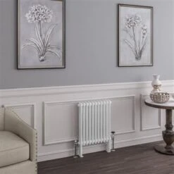 Eastbrook Imperia 2 Koloms Radiator 50x60cm 704W Wit Glans