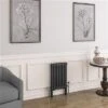 Eastbrook Imperia 2 Koloms Radiator 40x60cm 576W Antraciet