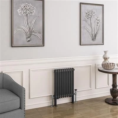 Eastbrook Imperia 2 Koloms Radiator 45x60cm 639W Antraciet