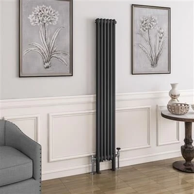 Eastbrook Imperia 2 Koloms Radiator 30x180cm 1078W Antraciet