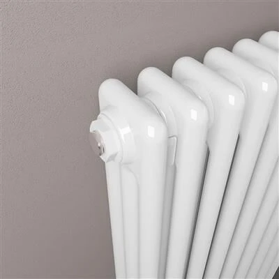 Eastbrook Imperia 3 Koloms Radiator 55x60cm 1134W Wit Glans - Afbeelding 3