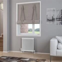 Eastbrook Rivassa 2 Koloms Radiator 55x60cm Staal 756W Wit Glans