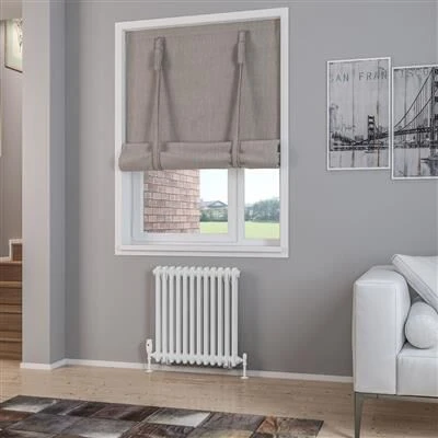 Eastbrook Rivassa 2 Koloms Radiator 55x60cm Staal 756W Wit Glans