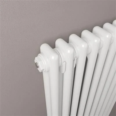 Eastbrook Rivassa 2 Koloms Radiator 55x60cm Staal 756W Wit Glans - Afbeelding 3