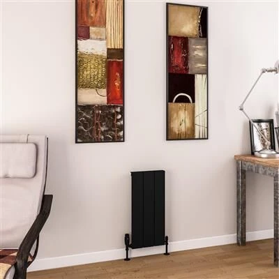 Eastbrook Charlton Radiator 30x60cm Aluminium 305W Zwart Mat
