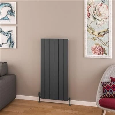Eastbrook Withington Radiator 55x120cm Aluminium 1101W Antraciet