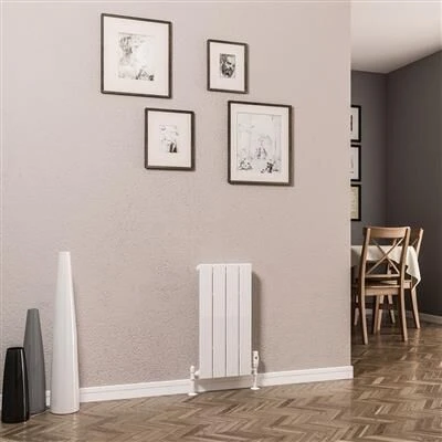 Eastbrook Addington Type 10 Radiator 30x60cm 281W Wit Glans